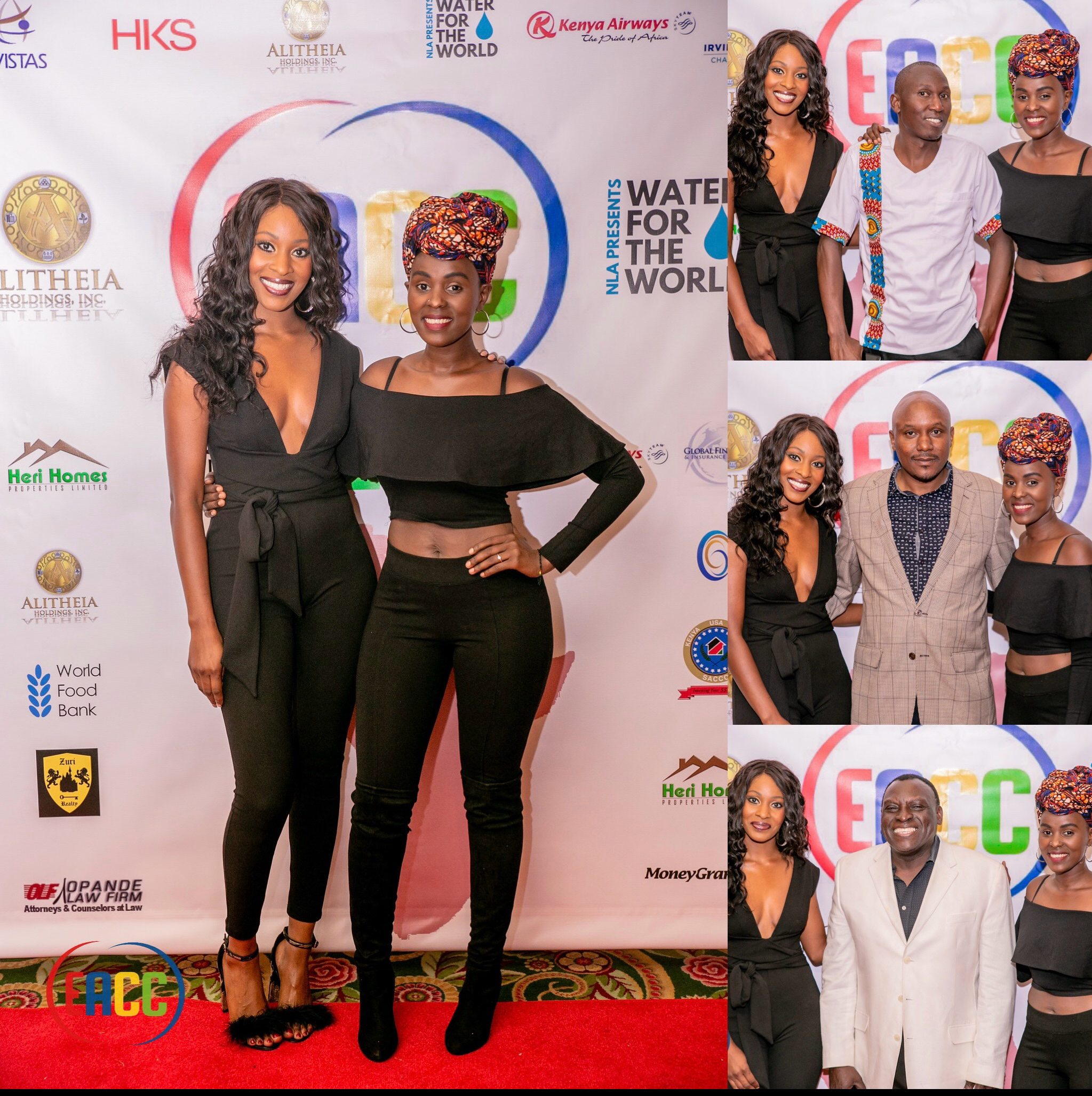 Charity gala for Water for the World initiative